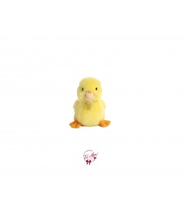 Duckling Plush 
