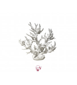 Coral: White Tall Coral
