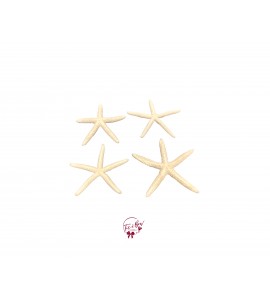 Starfish Set of 4 