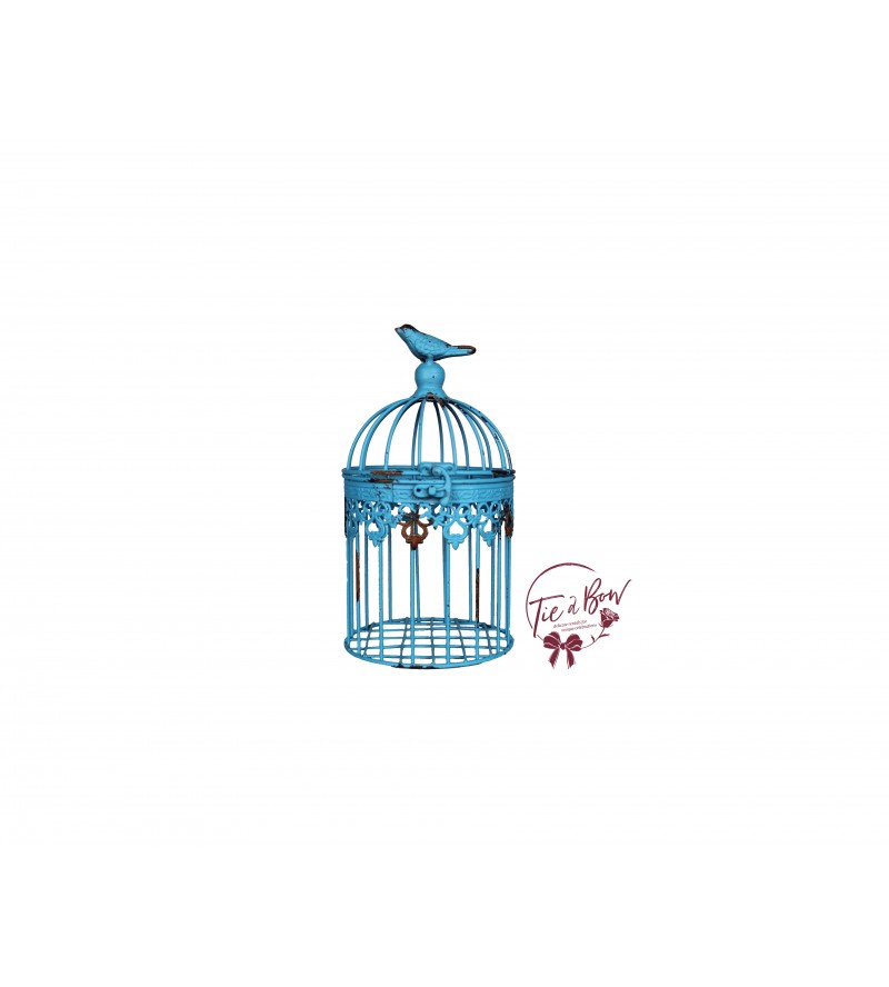 Bird Cage: Distressed Aqua Blue with Bird on Top 