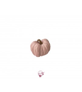 Pumpkin: Light Pink Pumpkin (Small) 