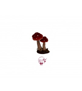 Mini Duo Mushrooms 