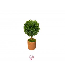 Plant: Topiary Plant 