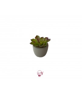 Cactus: Green Faux Cactus in a Cement Pot (Mini) 