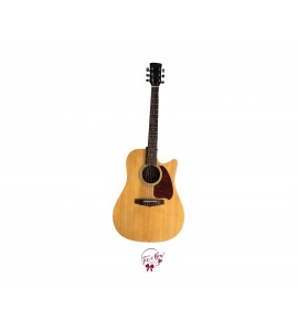 Acoustic Guitar (Ibanez) 